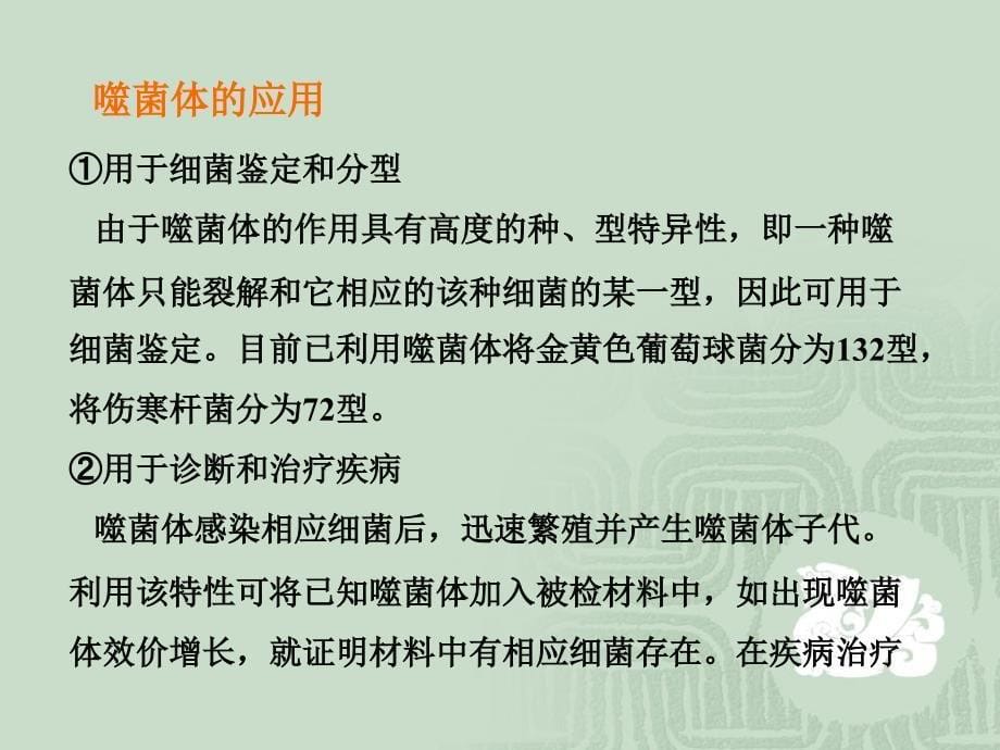 第三节噬菌体的危害和应用PPT课件_第5页