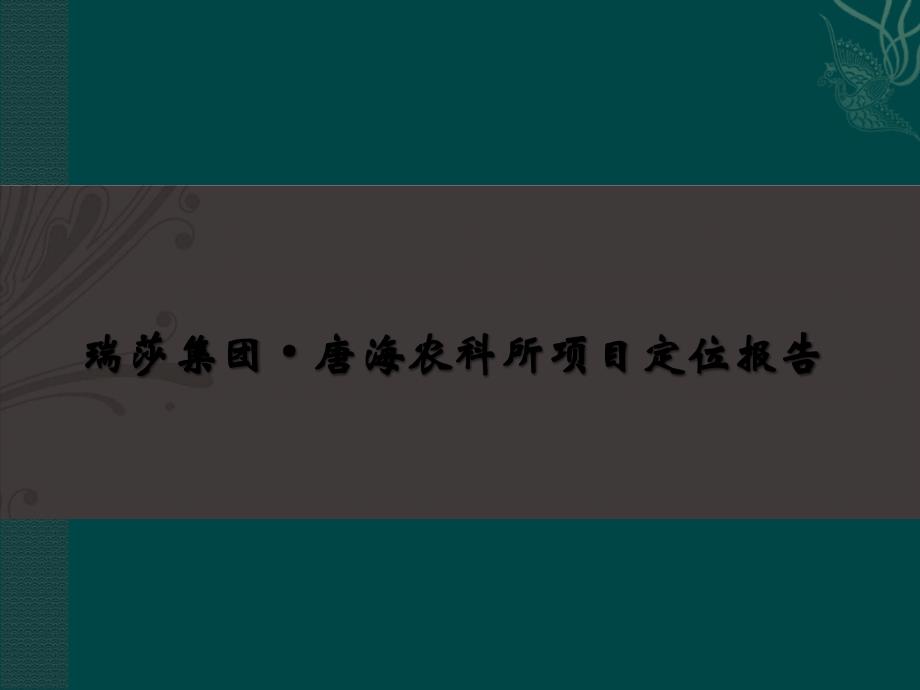 唐海农科商业项目定位报告终稿_第1页