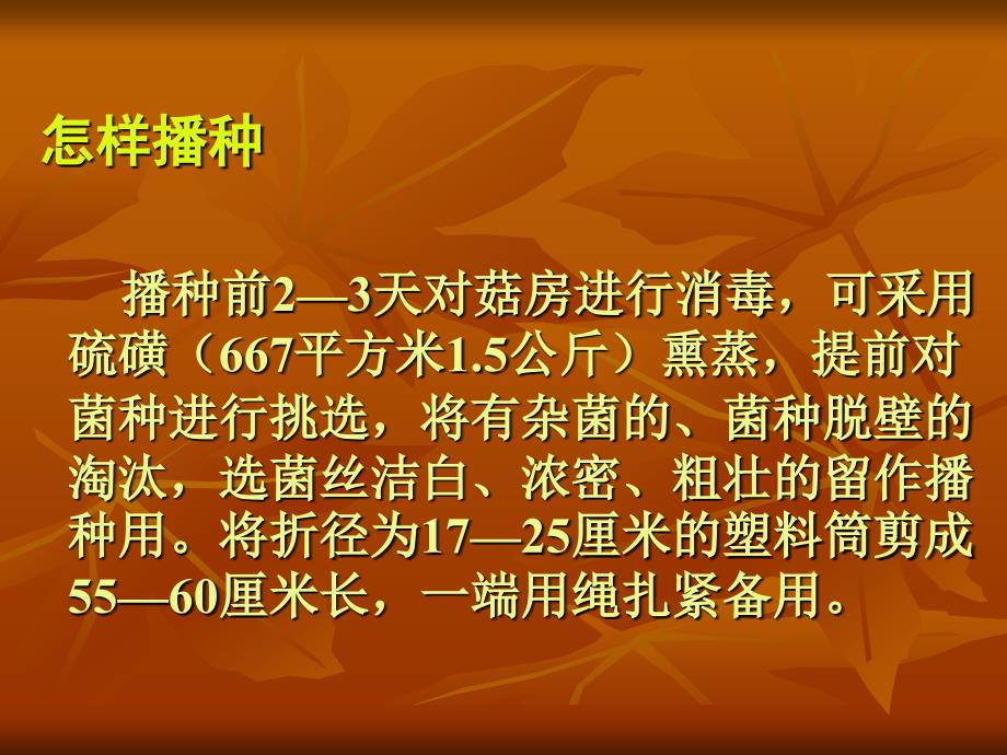 (修改)平菇优质栽培技术_第4页