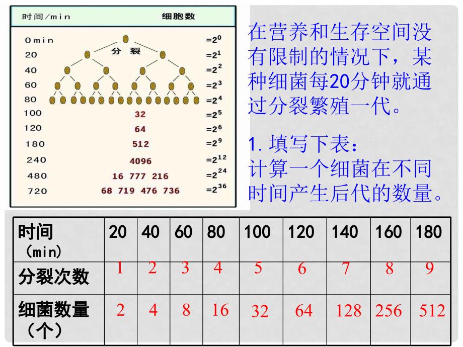 高中生物 第四章 种群和群落 4.2 种群数量的变化课件2 新人教版必修3_第2页