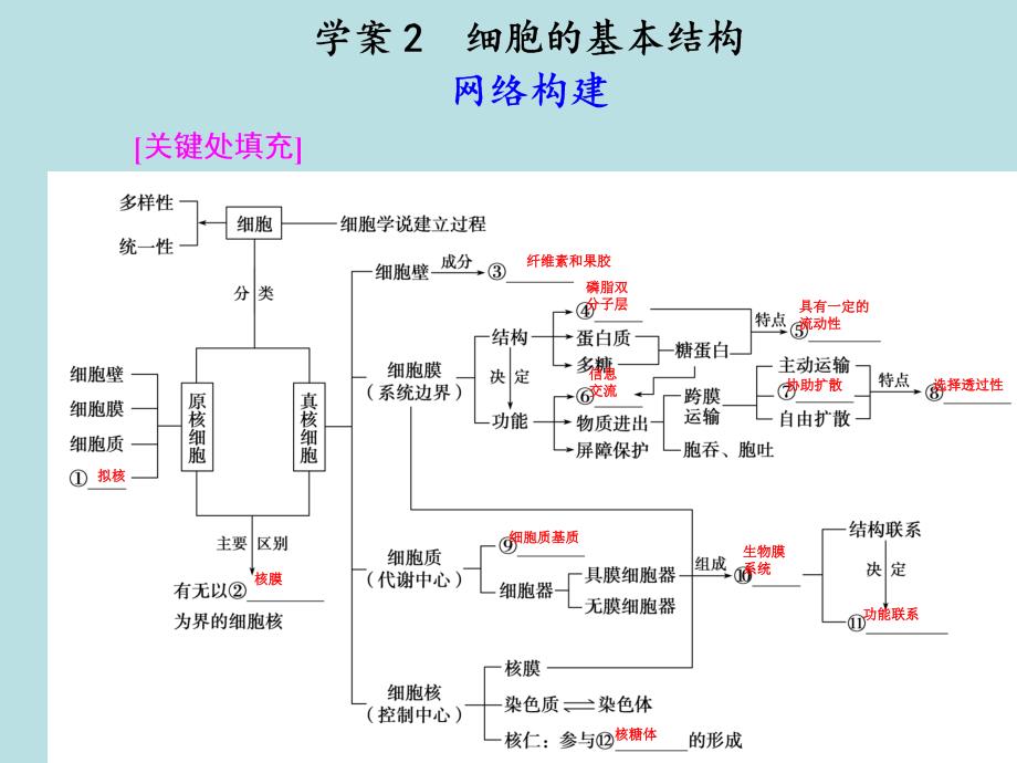 生物专题一学案22_第1页