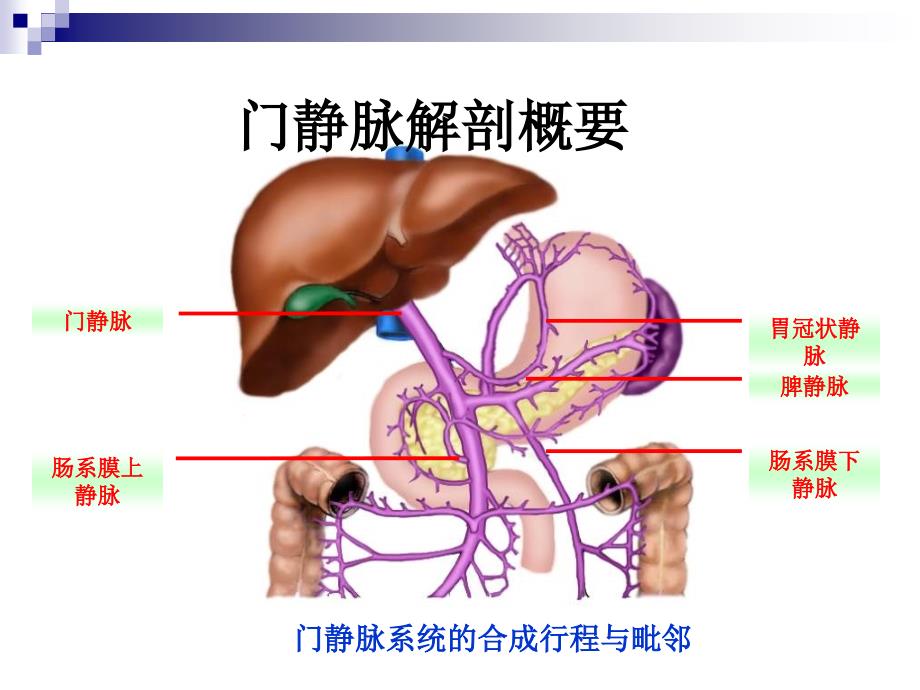 门静脉高压症陈孝平_第3页