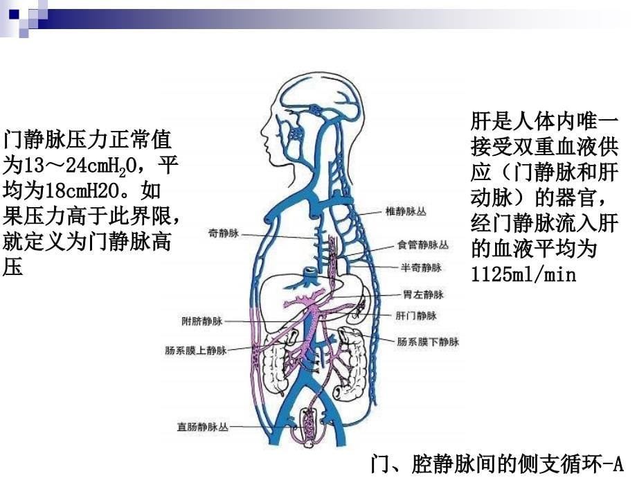 门静脉高压症陈孝平_第5页