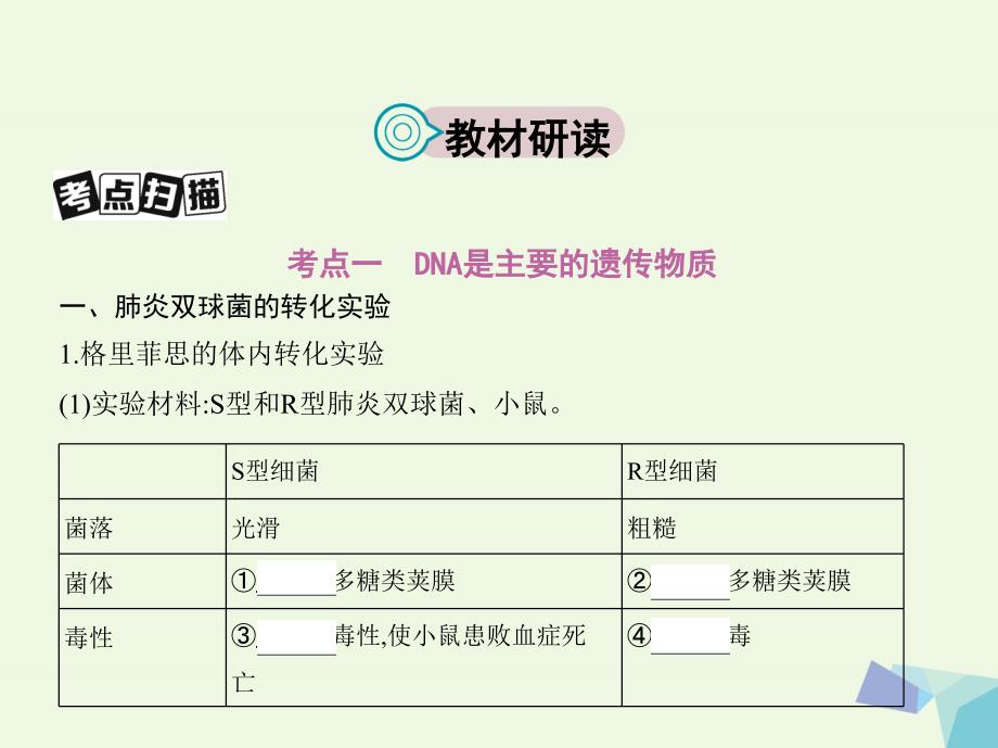 （新课标）高考生物一轮复习 遗传与进化 第5单元 遗传的细胞基础和分子基础 第14讲 基因的本质课件（必修2）_第2页