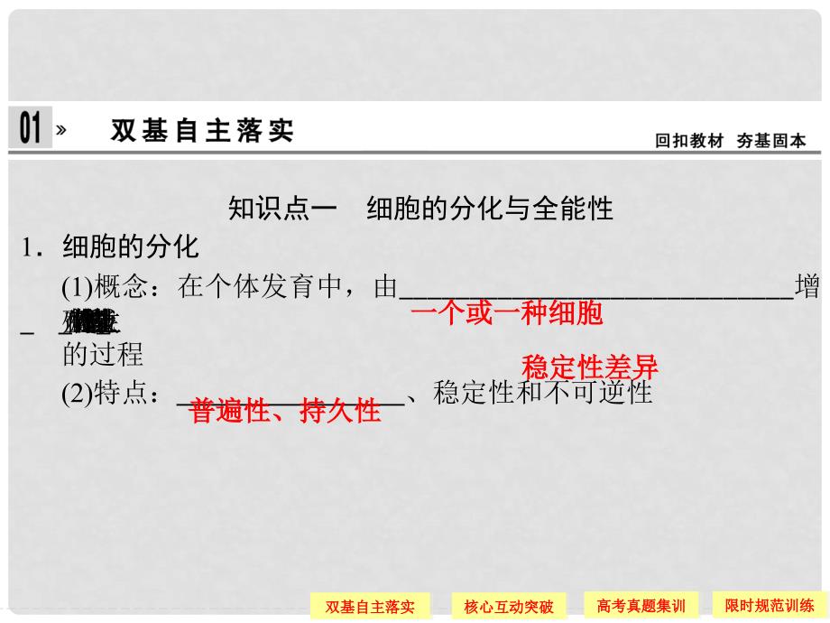 高考生物总复习 142细胞的分化、衰老和凋亡、癌变课件 新人教版必修1_第3页