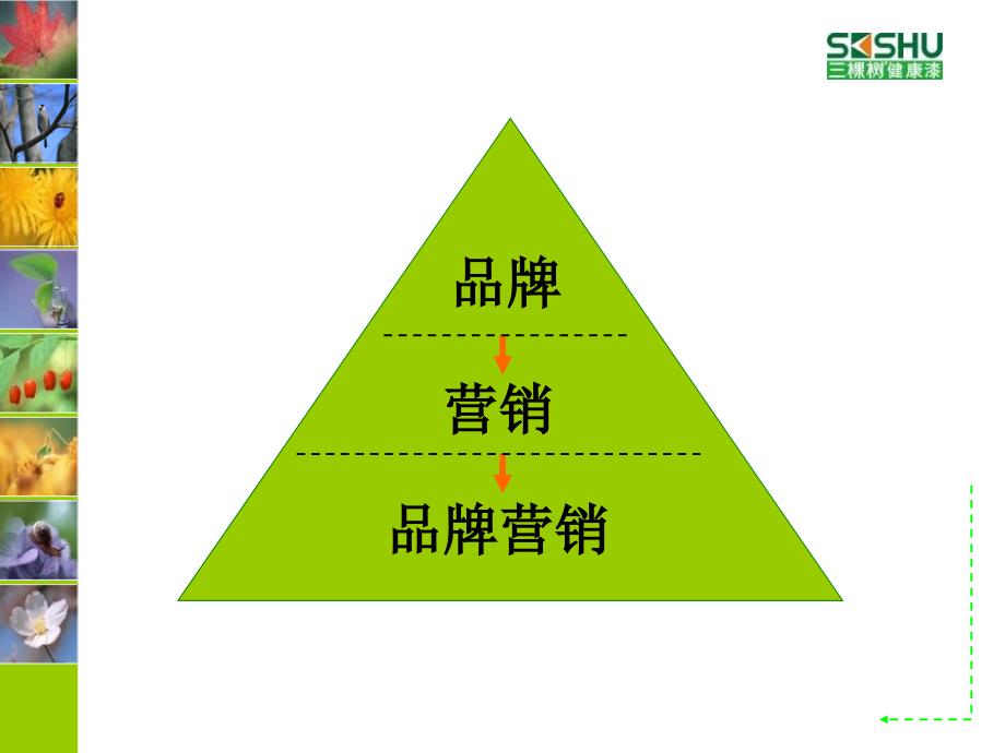 三棵树品牌营销策略及规划（4A广告内部资料！！！）_第2页