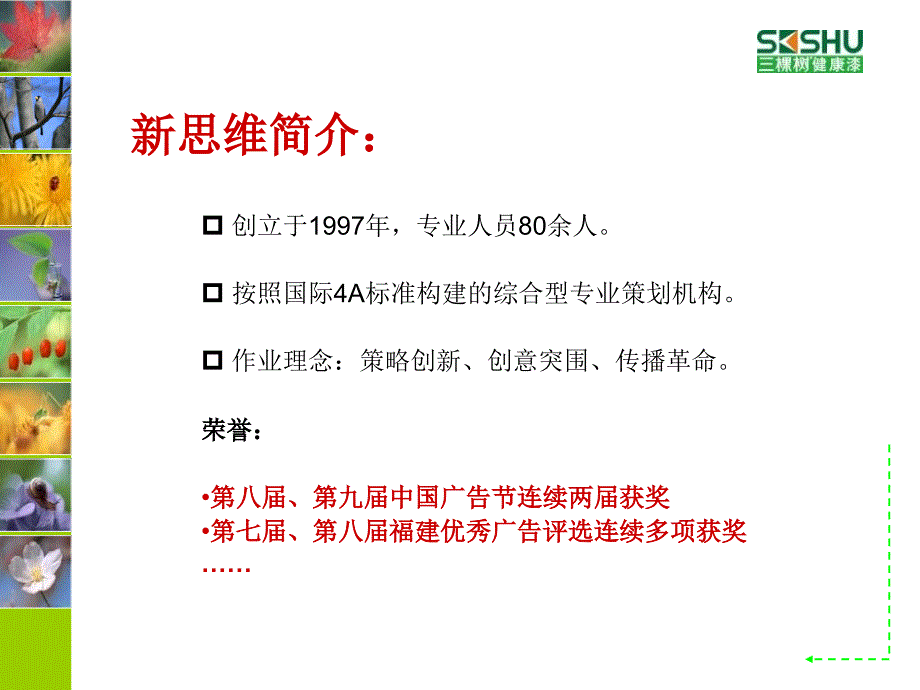 三棵树品牌营销策略及规划（4A广告内部资料！！！）_第4页