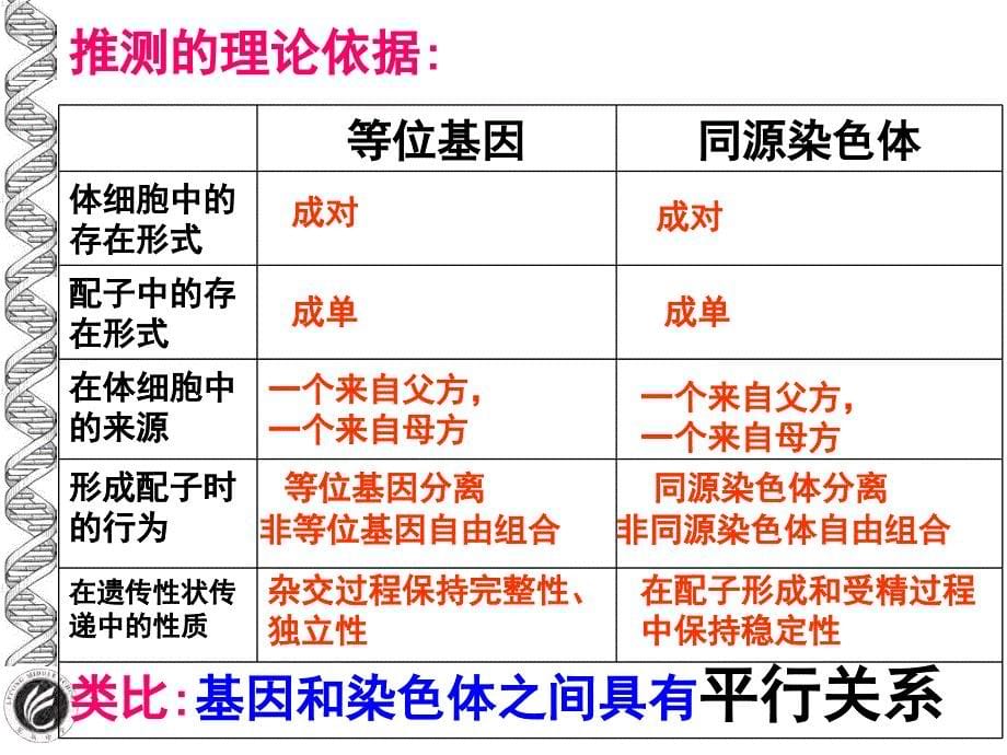 高中生物优质课《基因在染色体上》公开课_第5页