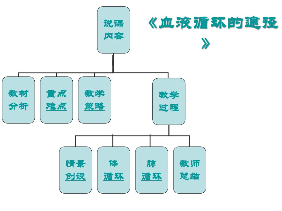 血液循环的途径_第1页