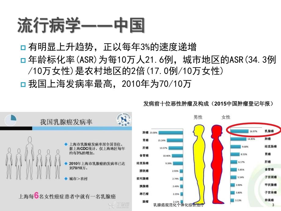 乳腺癌规范化个体化综合治疗课件_第3页