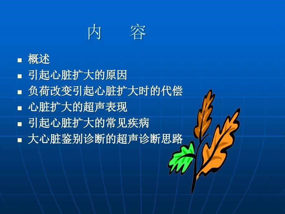 大心脏的鉴别诊断_第5页