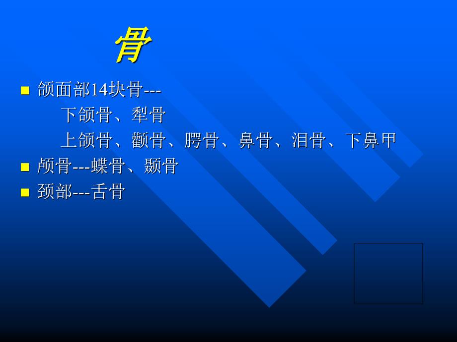 分口腔颌面系统解剖_第1页