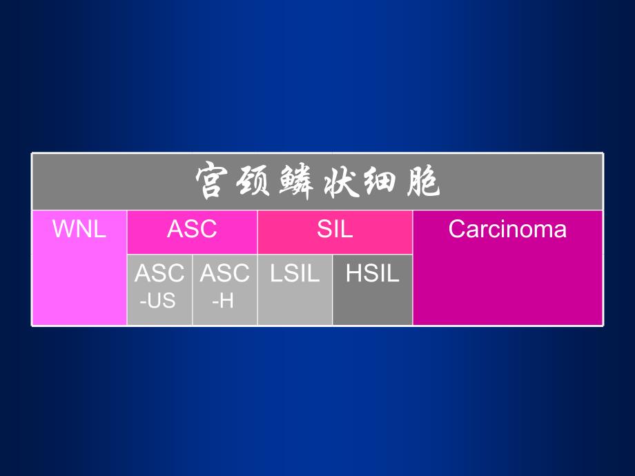 宫颈上皮内瘤变的诊断及处理_第3页