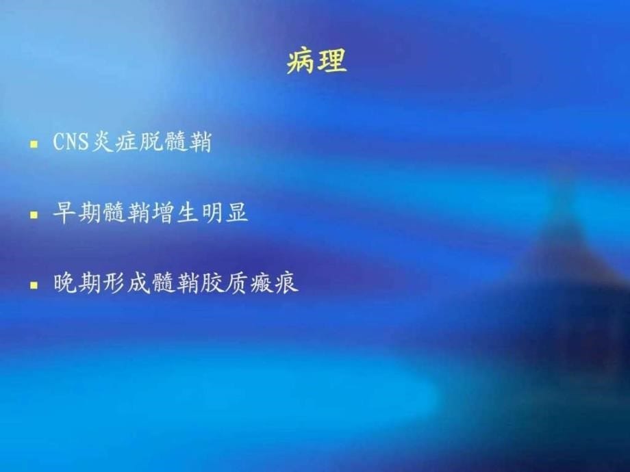 多发性硬化诊断标准与实践.ppt_第5页