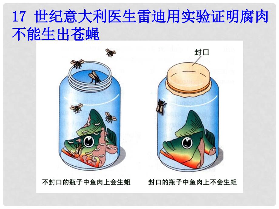 八年级生物下册 7.3.1 地球上生命的起源课件 （新版）新人教版_第4页