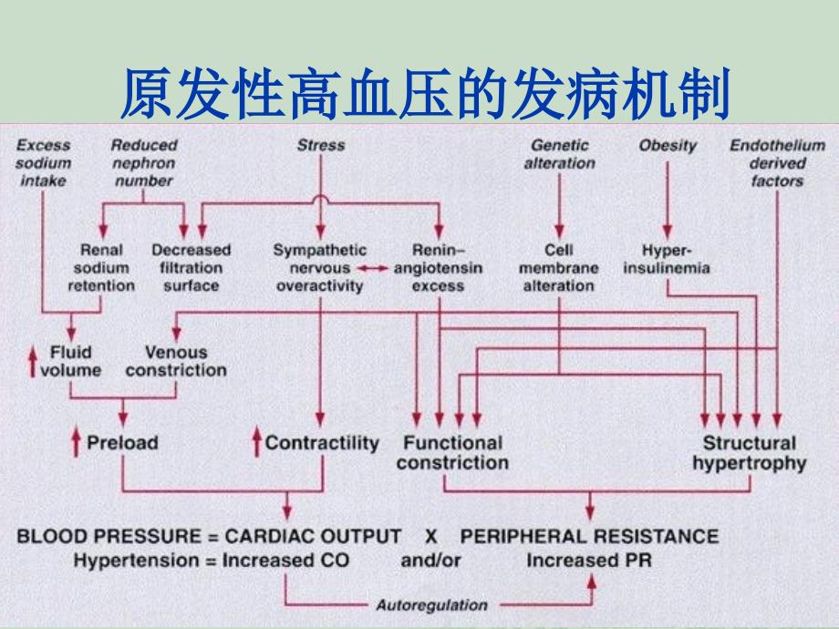 高血压的概念_第3页