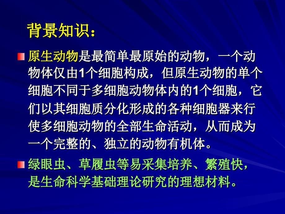 实验2.眼虫变形虫和草履虫等的观察_第5页