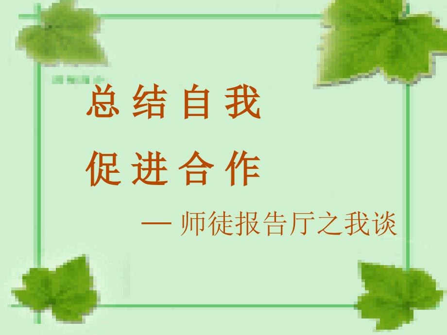 总结自我促进合作.ppt_第1页