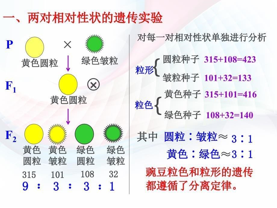 基因自由组合定律完整_第5页