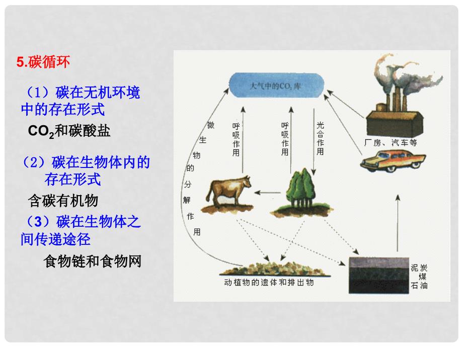 高中生物 专题5.3 生态系统的物质循环课件（提升版）新人教版必修3_第3页