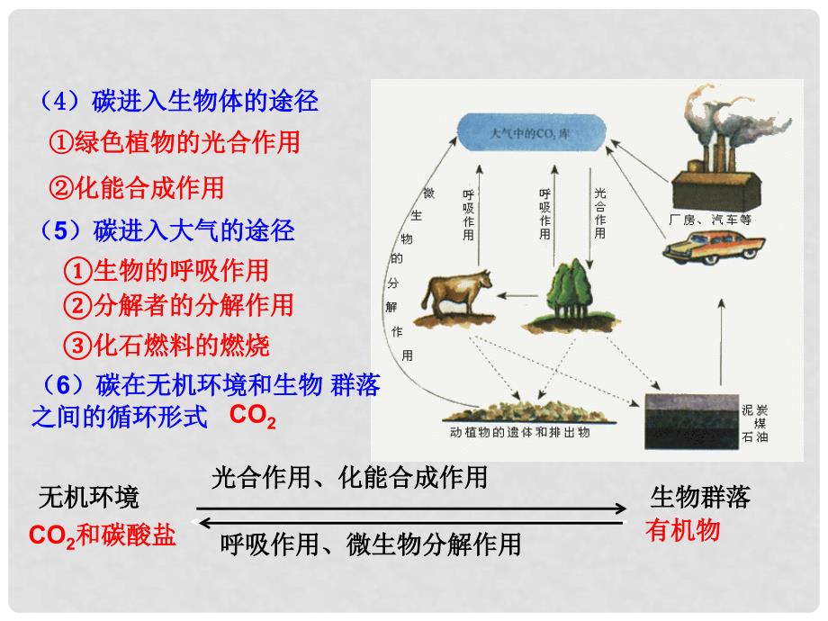 高中生物 专题5.3 生态系统的物质循环课件（提升版）新人教版必修3_第4页