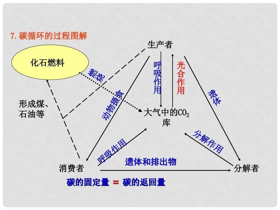 高中生物 专题5.3 生态系统的物质循环课件（提升版）新人教版必修3_第5页