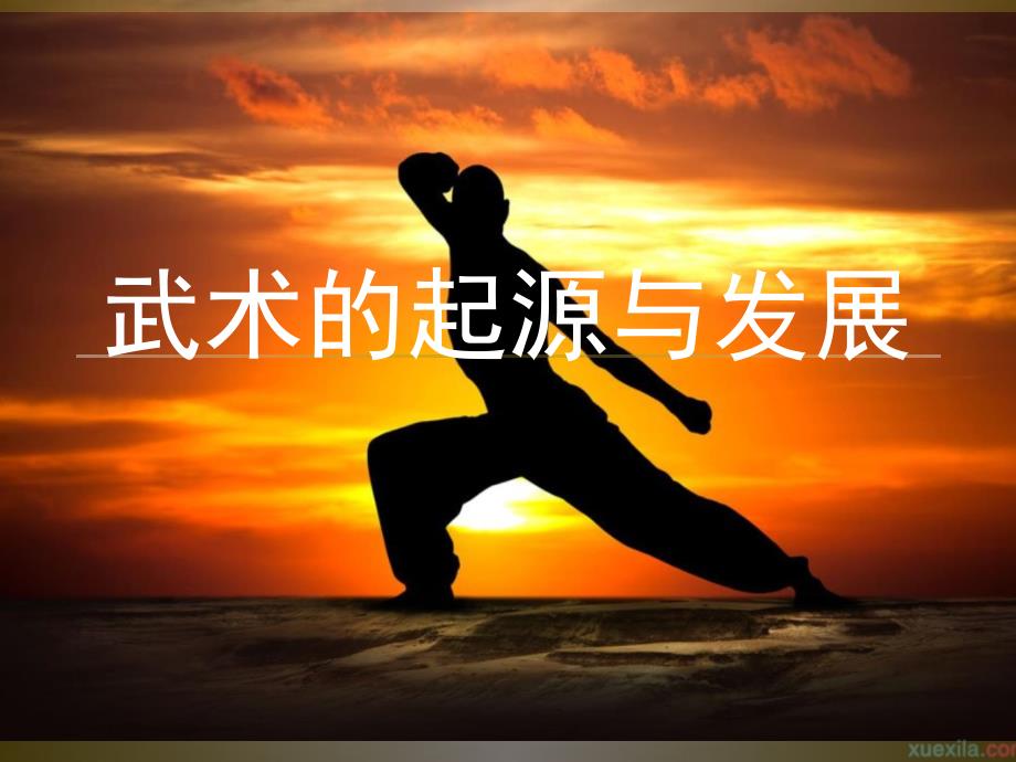 武术的起源与发展_第1页