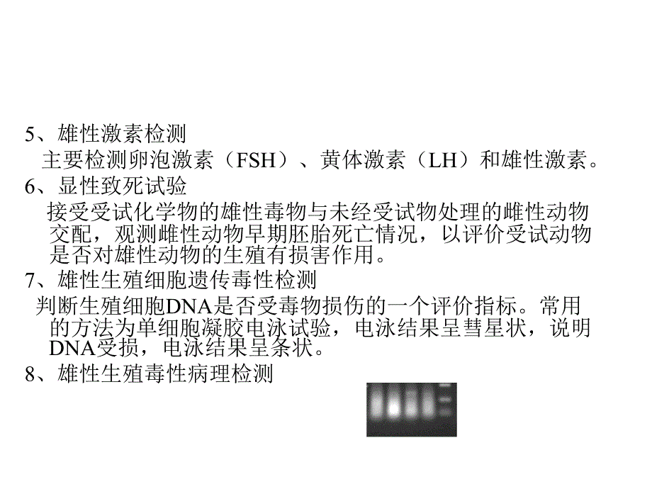 第七章化学毒物的生殖毒性食品毒理学_第4页