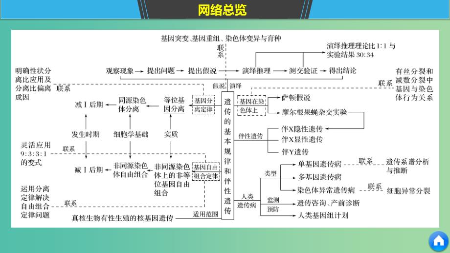 通用版2019版高考生物二轮复习专题五基因的传递规律构建知识网络补遗教材遗漏课件.ppt_第4页