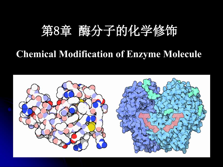 第八章酶子化学修饰ppt课件_第1页