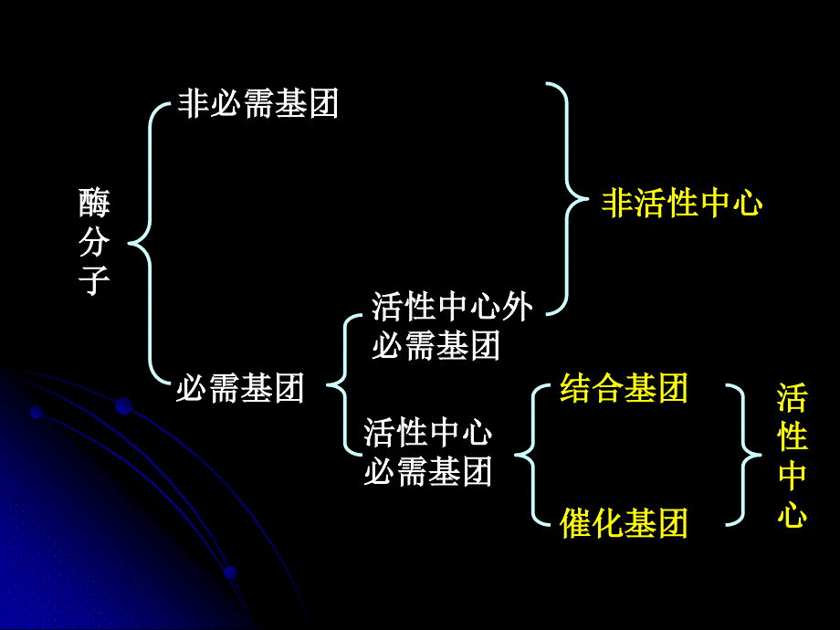 第八章酶子化学修饰ppt课件_第4页