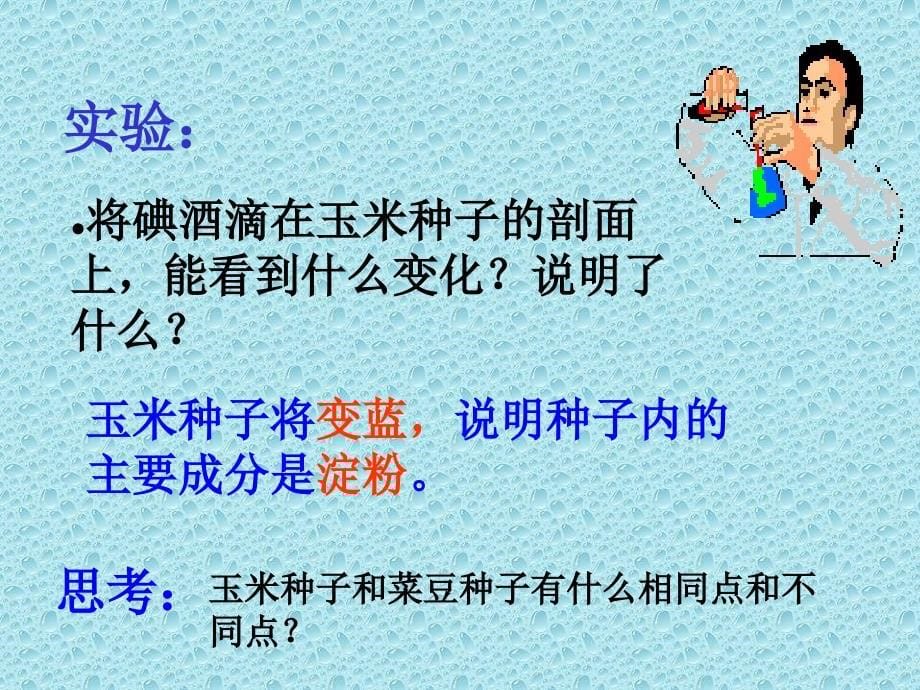 果实和种子课件PPT下载2_苏教版三年级科学下册课件_第5页