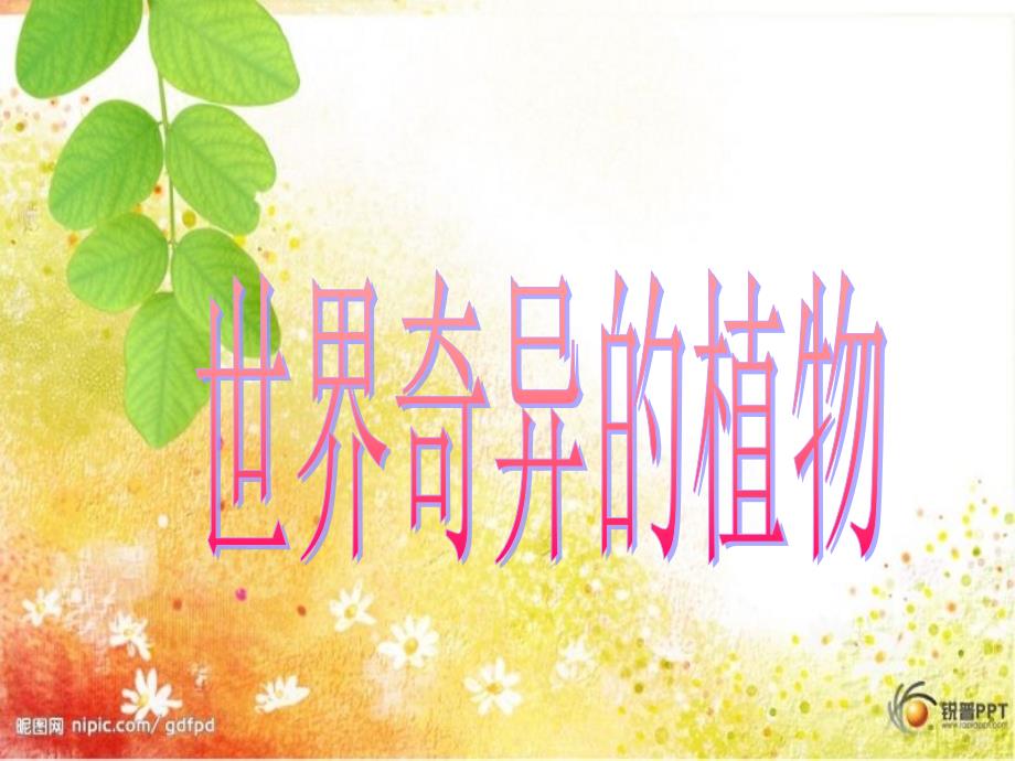 世界奇异的植物_第1页