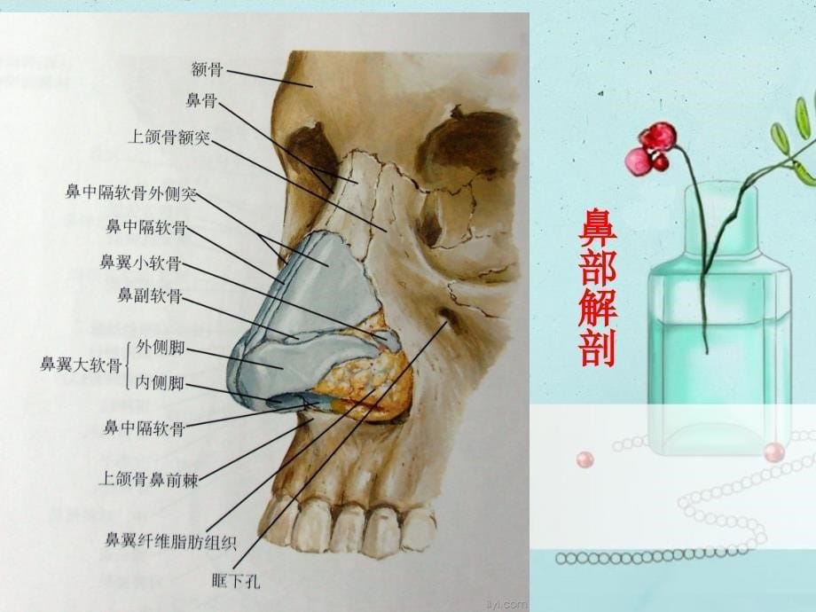 鼻骨骨折护理查房课件_第5页