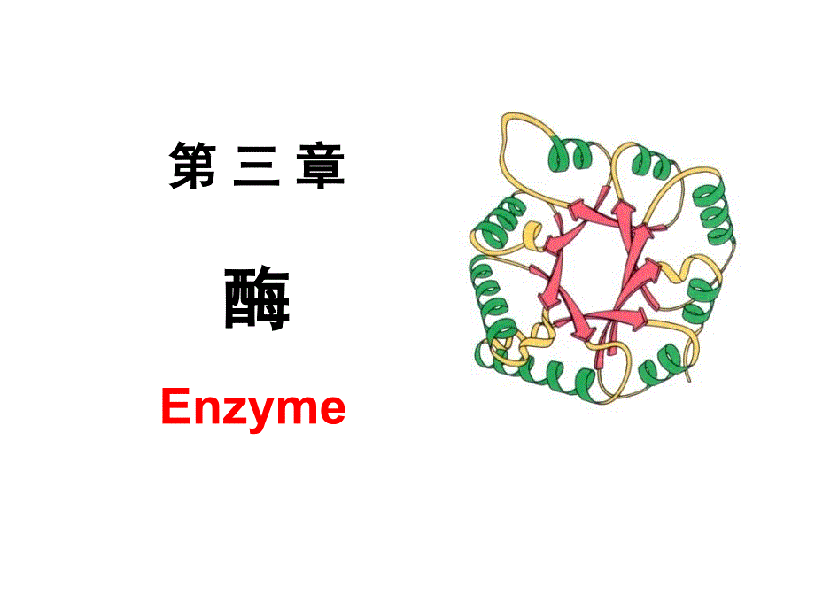 生物化学课件第3章酶_第1页