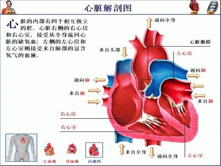 心脏黏液瘤PPT课件_第2页