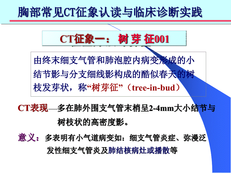 肺部CT十大征象诊断应用完整版_第3页