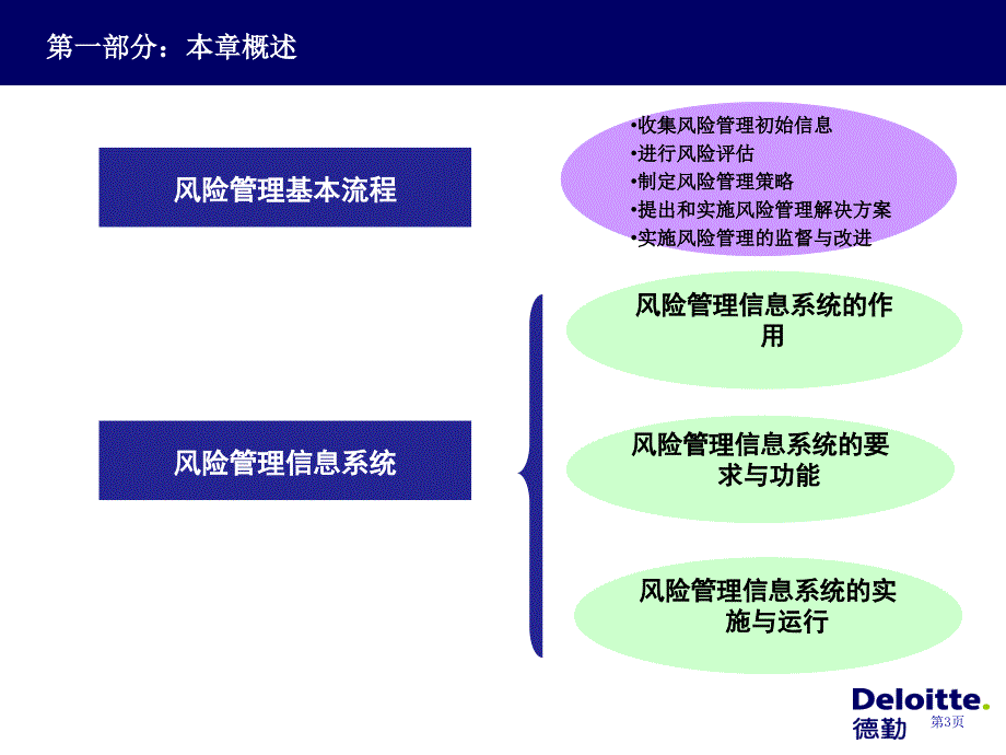 风险管理信息系统德勤_第4页