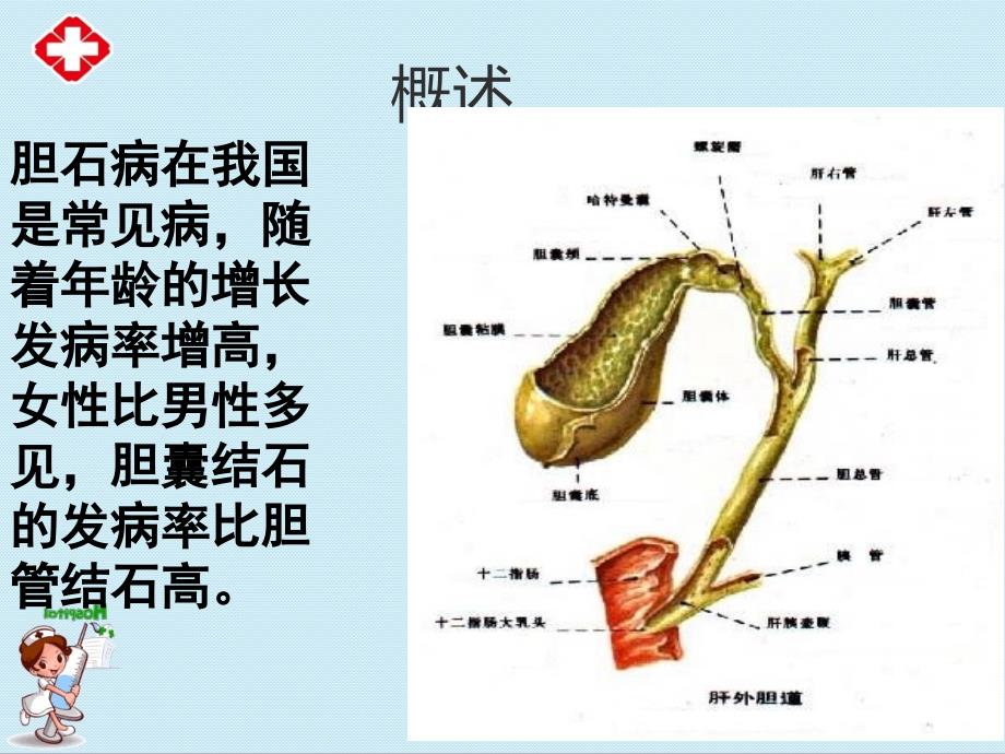 胆道疾病患者的护理ppt.ppt_第3页