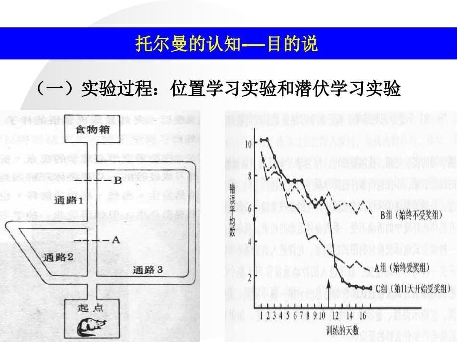 认知主义学习理论课件_第5页