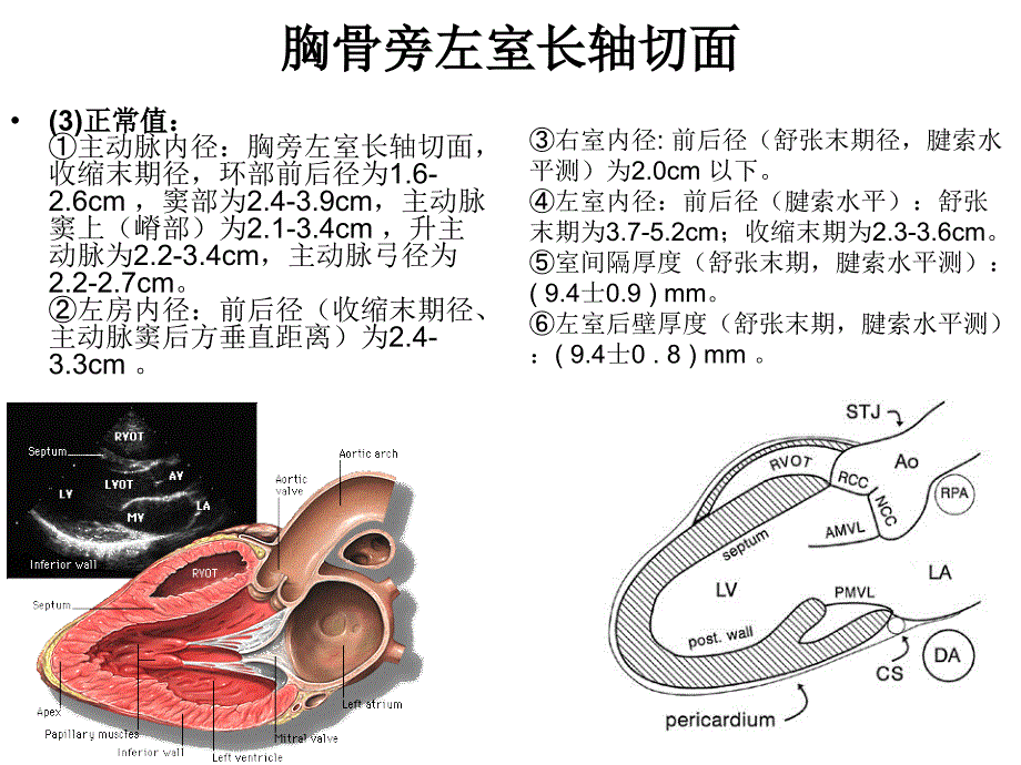 二维超声心动图常用切面及选择_第2页