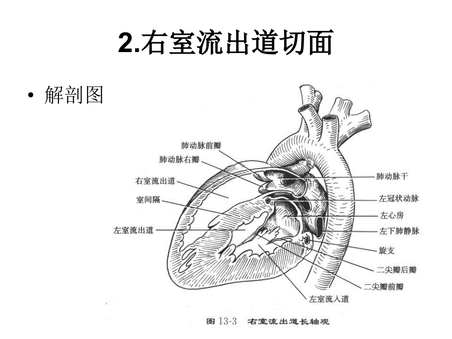 二维超声心动图常用切面及选择_第4页