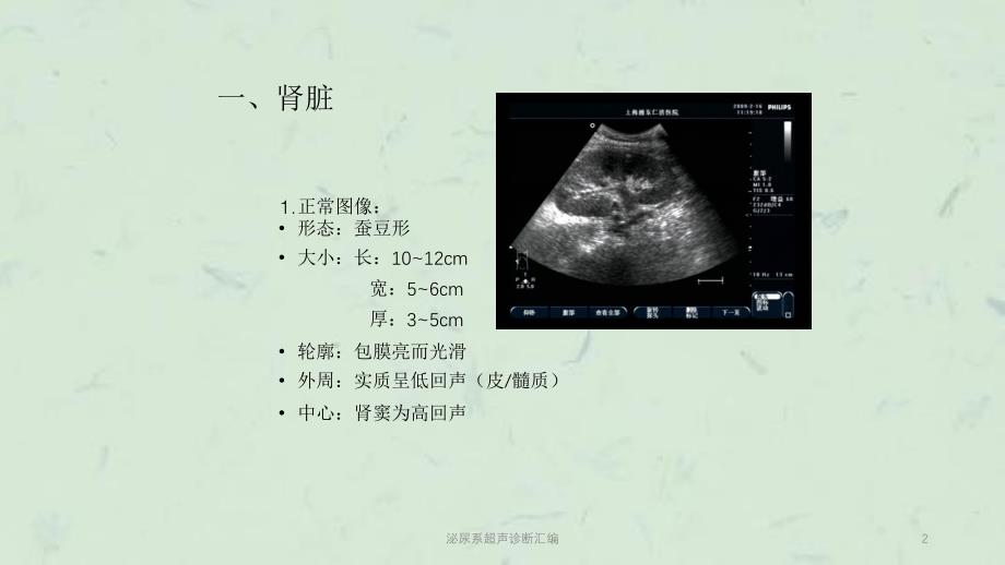 泌尿系超声诊断汇编课件_第2页