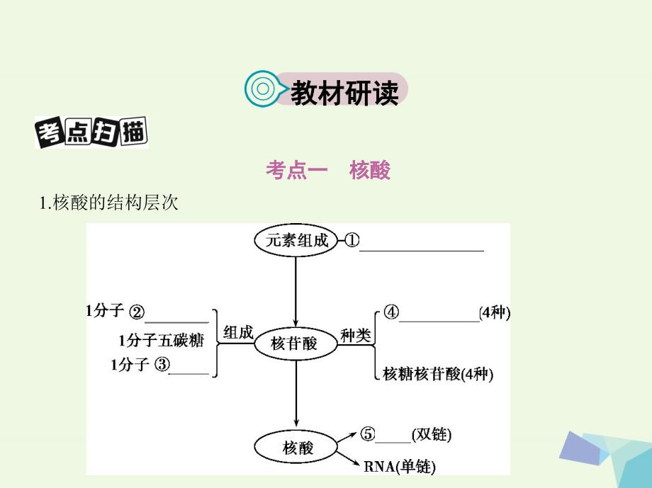 （新课标）高考生物一轮复习 分子与细胞 第1单元 细胞的分子组成 第3讲 核酸、糖类与脂质课件（必修1）_第2页