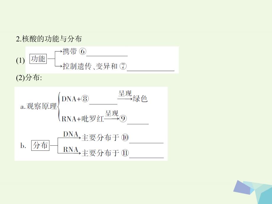 （新课标）高考生物一轮复习 分子与细胞 第1单元 细胞的分子组成 第3讲 核酸、糖类与脂质课件（必修1）_第3页