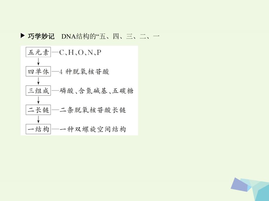 （新课标）高考生物一轮复习 分子与细胞 第1单元 细胞的分子组成 第3讲 核酸、糖类与脂质课件（必修1）_第4页