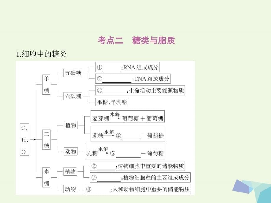 （新课标）高考生物一轮复习 分子与细胞 第1单元 细胞的分子组成 第3讲 核酸、糖类与脂质课件（必修1）_第5页