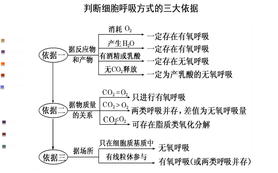 .8.15细胞呼吸方式判断、影响呼吸因素和应用分析_第2页