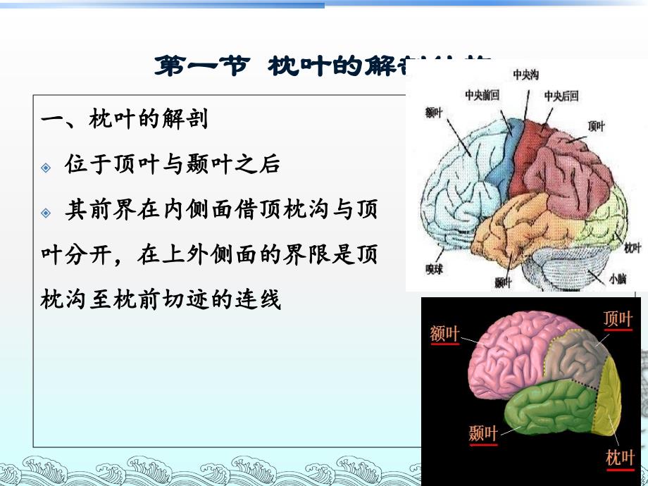 枕叶的神经心理功能_第3页