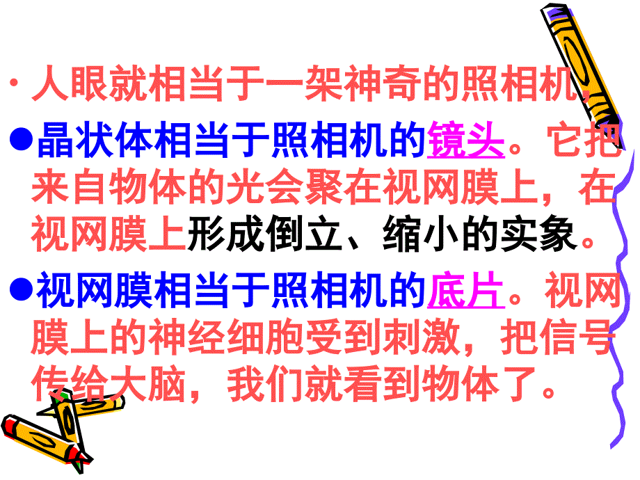 教科版初中物理八上46神奇的眼睛PPT课件1_第4页